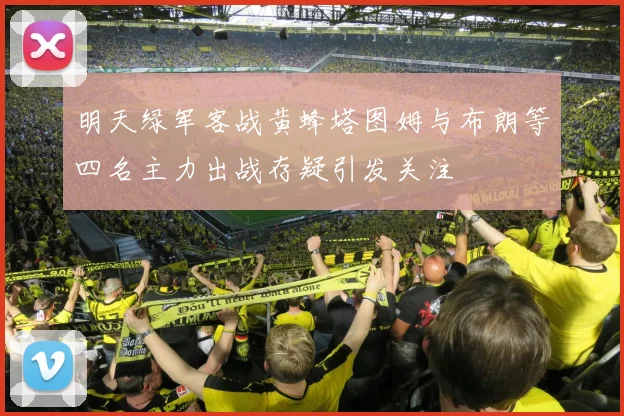 明天绿军客战黄蜂塔图姆与布朗等四名主力出战存疑引发关注